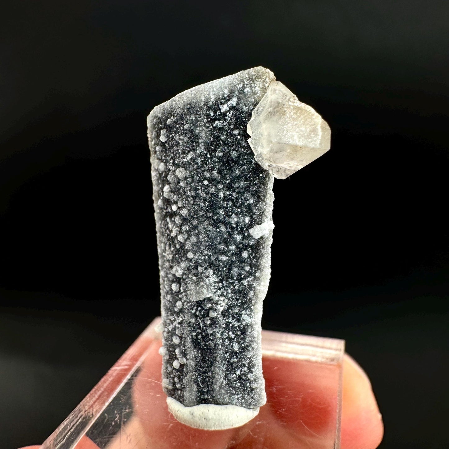 Herderite on Black Tourmaline | light green crystal, rare mineral specimen from Pakistan