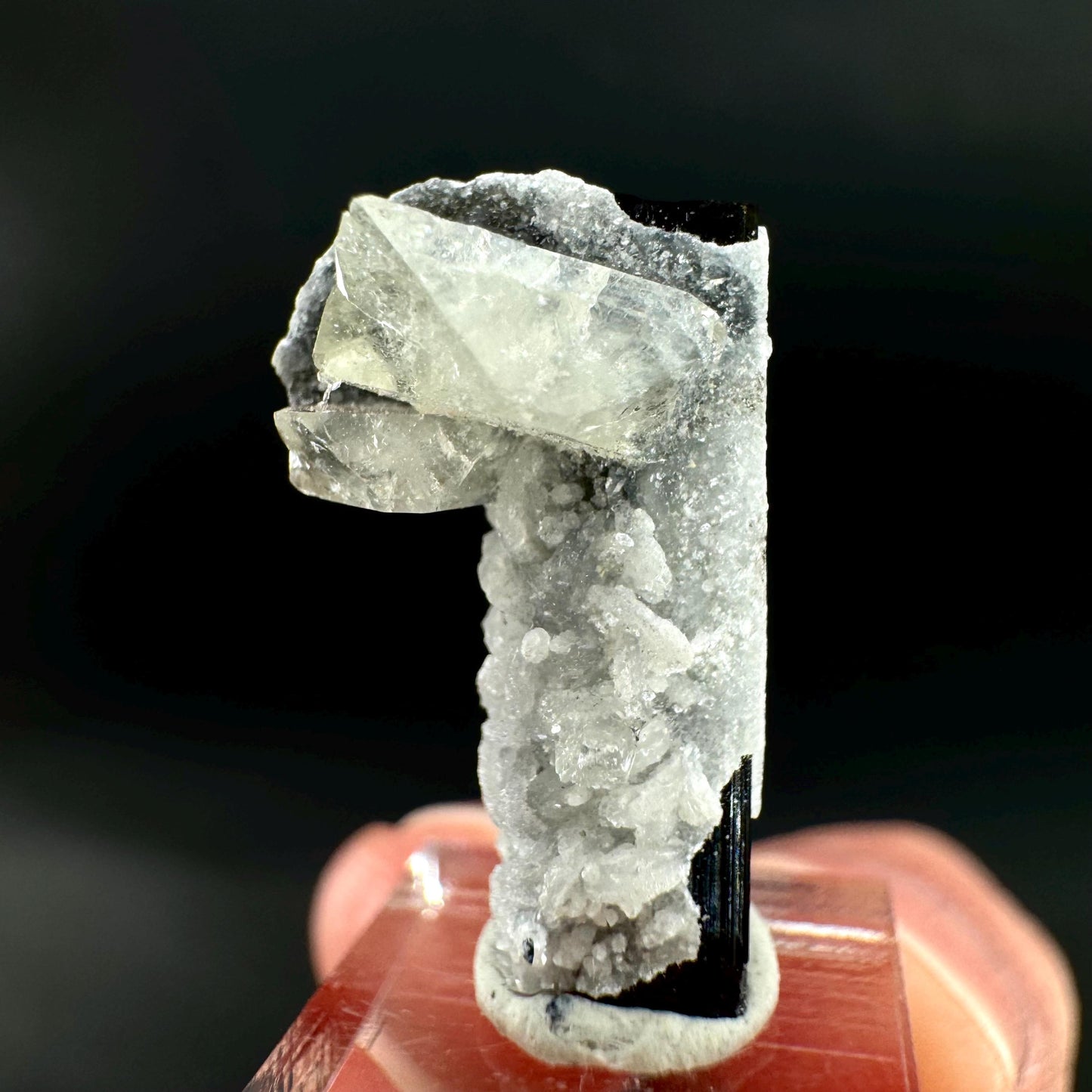 Herderite on Black Tourmaline | light green crystal, rare mineral specimen from Pakistan