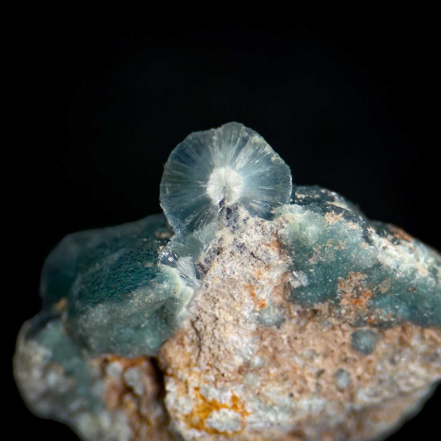 Blue Wavellite (Arkansas, USA) | crystal cluster, rare mineral specimen