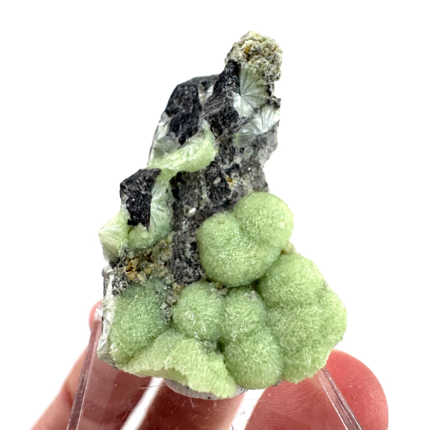 Wavellite (Arkansas, USA) | green crystal cluster, mineral specimen