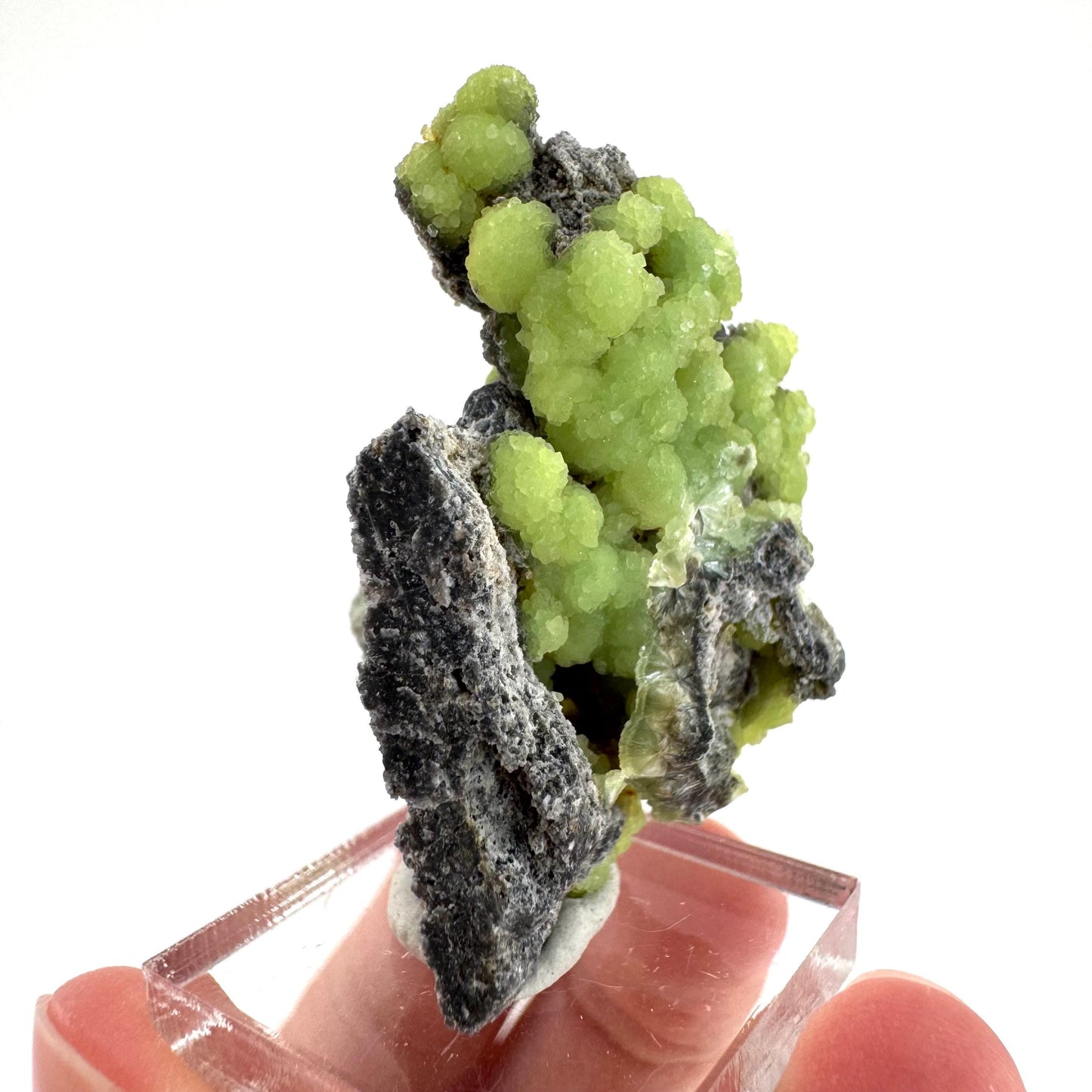 Wavellite (Arkansas, USA) | green crystal cluster, mineral specimen