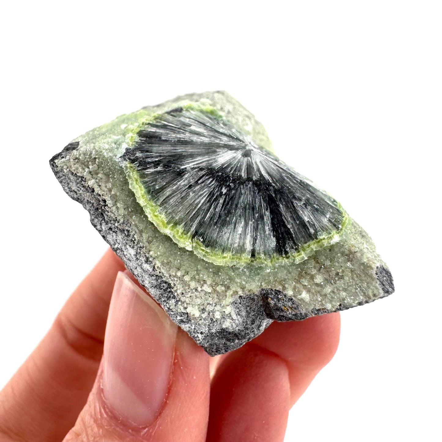 Wavellite (Arkansas, USA) | green crystal cluster, mineral specimen