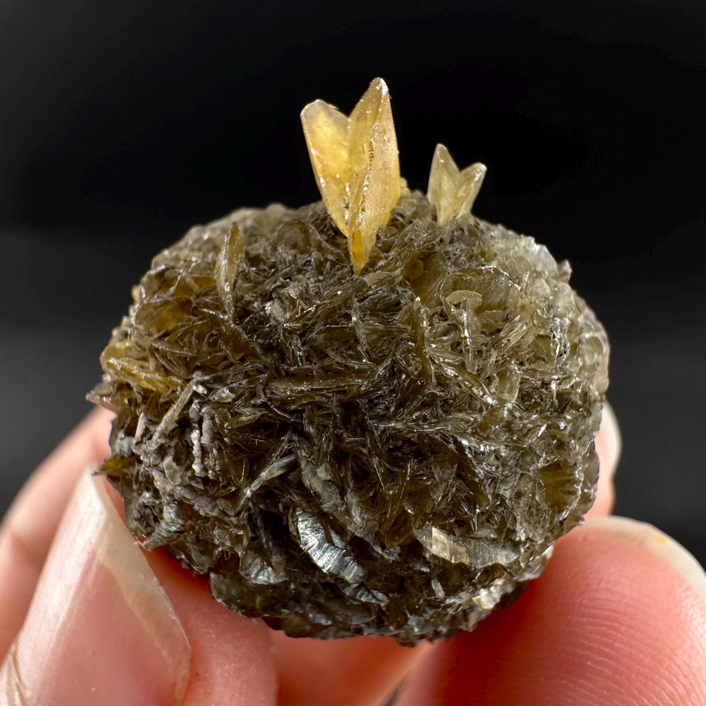 Golden Selenite Rosette | Fluorescent UV Reactive Gypsum Crystal