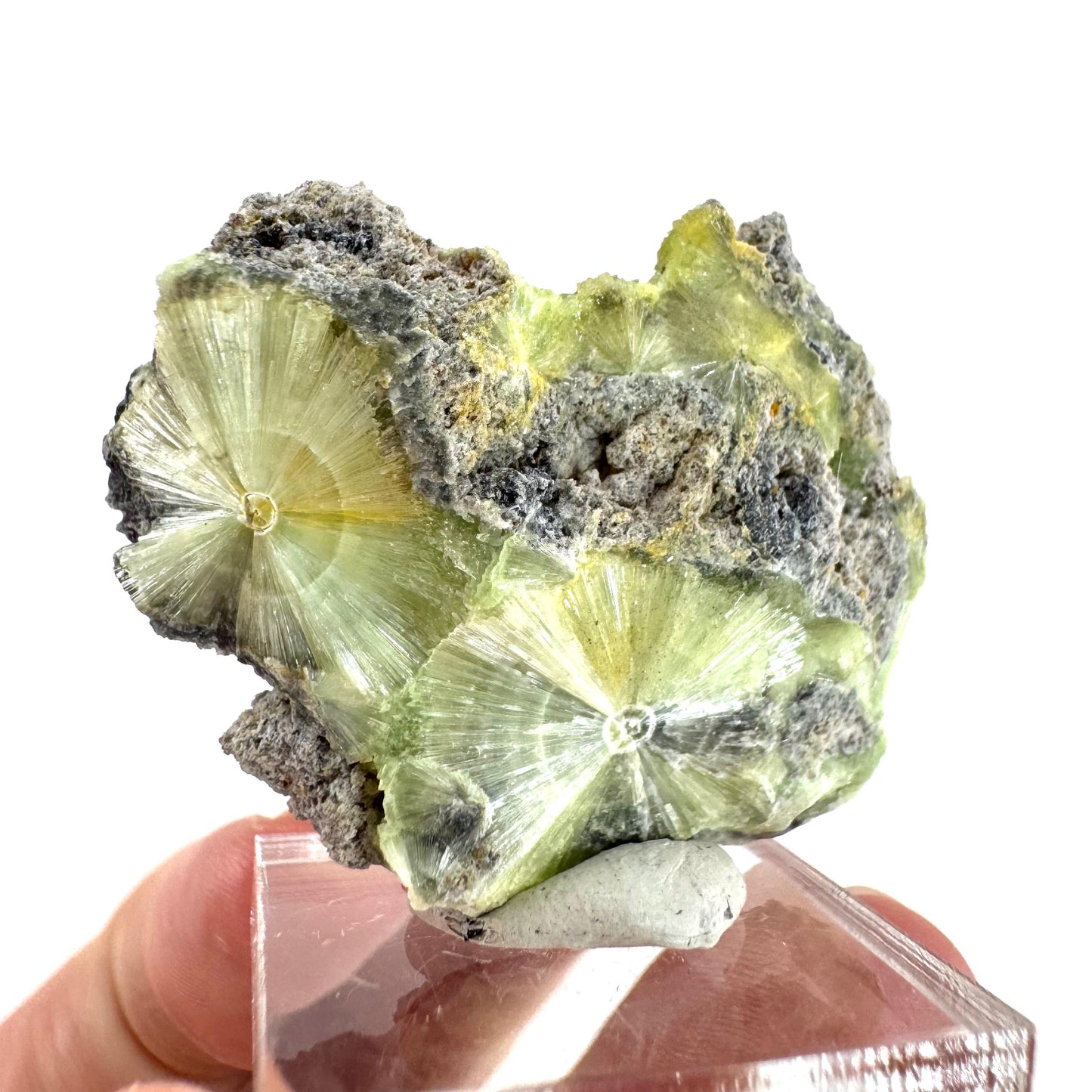 Wavellite (Arkansas, USA) | green crystal cluster, mineral specimen