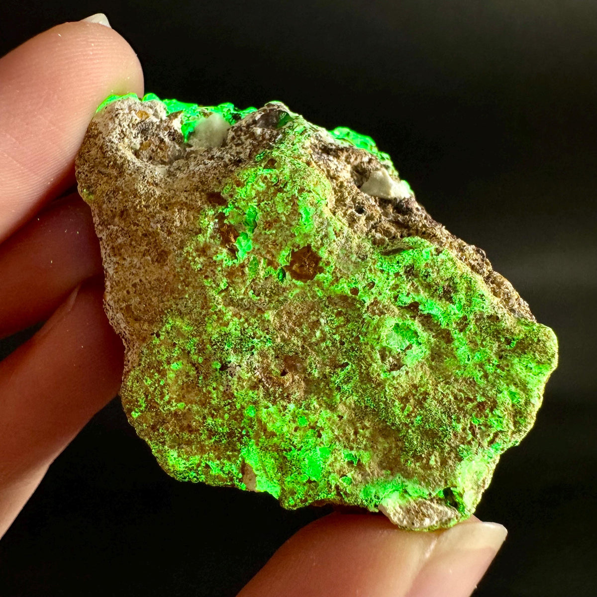 Hyalite Opal on Matrix | UV reactive crystal, green fluorescent mineral specimen from Namibia