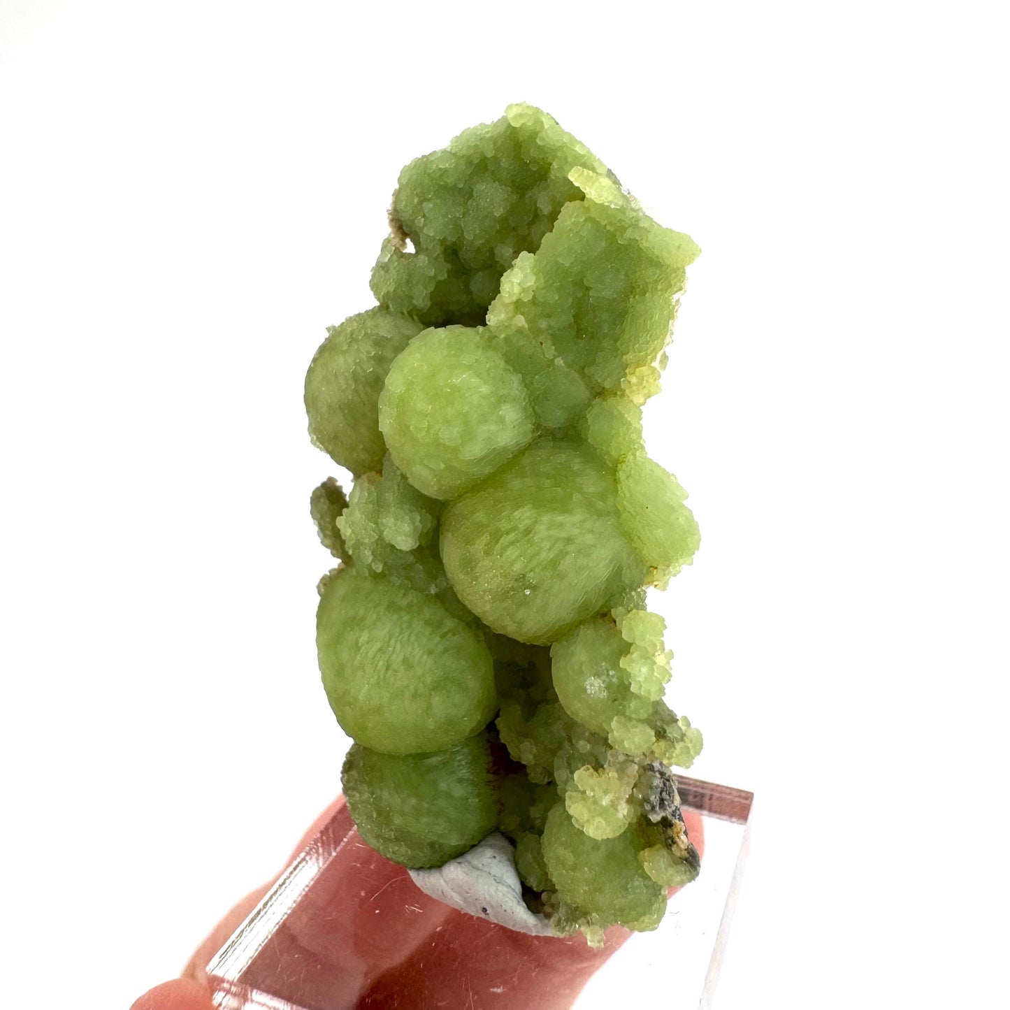 Wavellite (Arkansas, USA) | green crystal cluster, mineral specimen