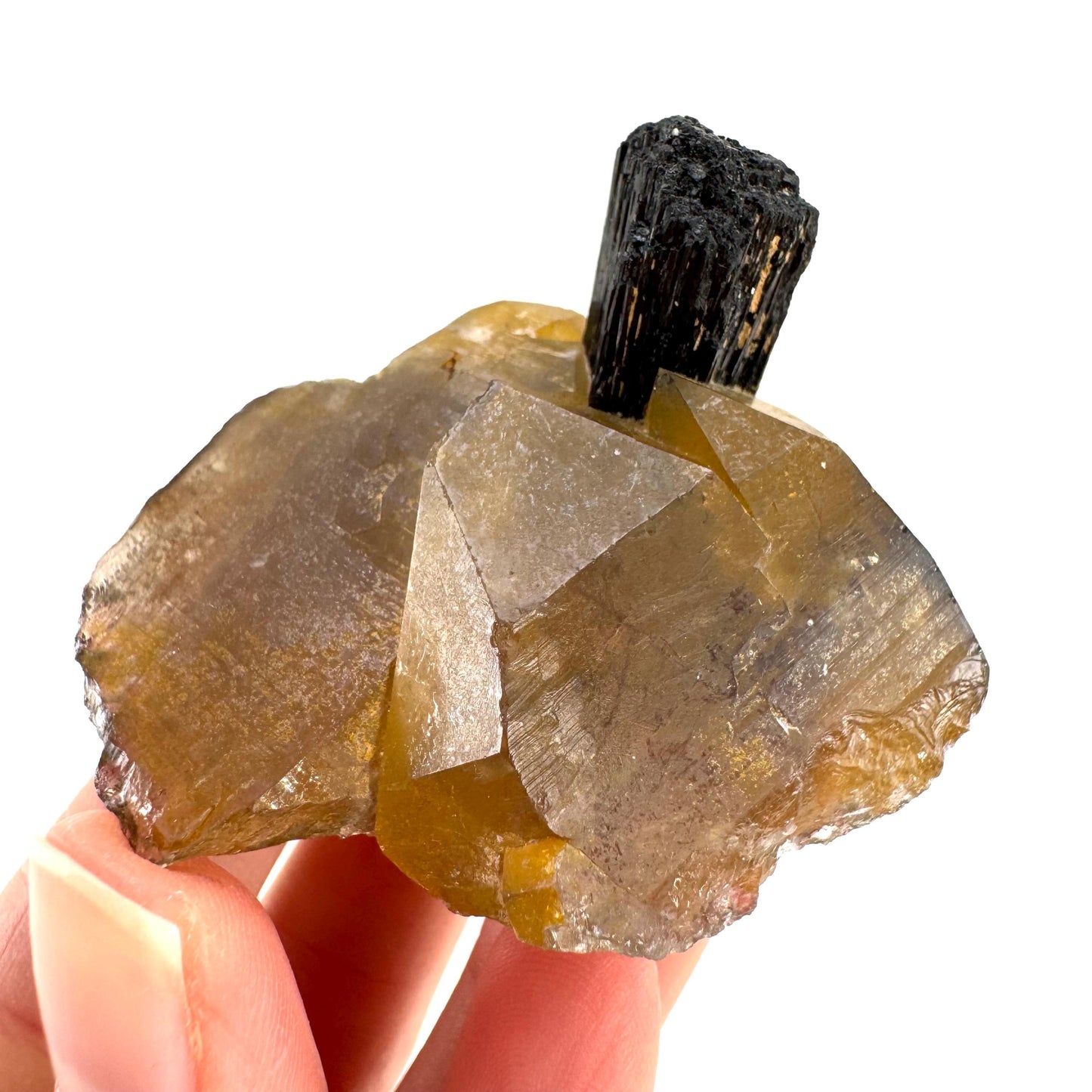 Black Tourmaline on Smoky Quartz | schorl crystal cluster, mineral specimen from Namibia