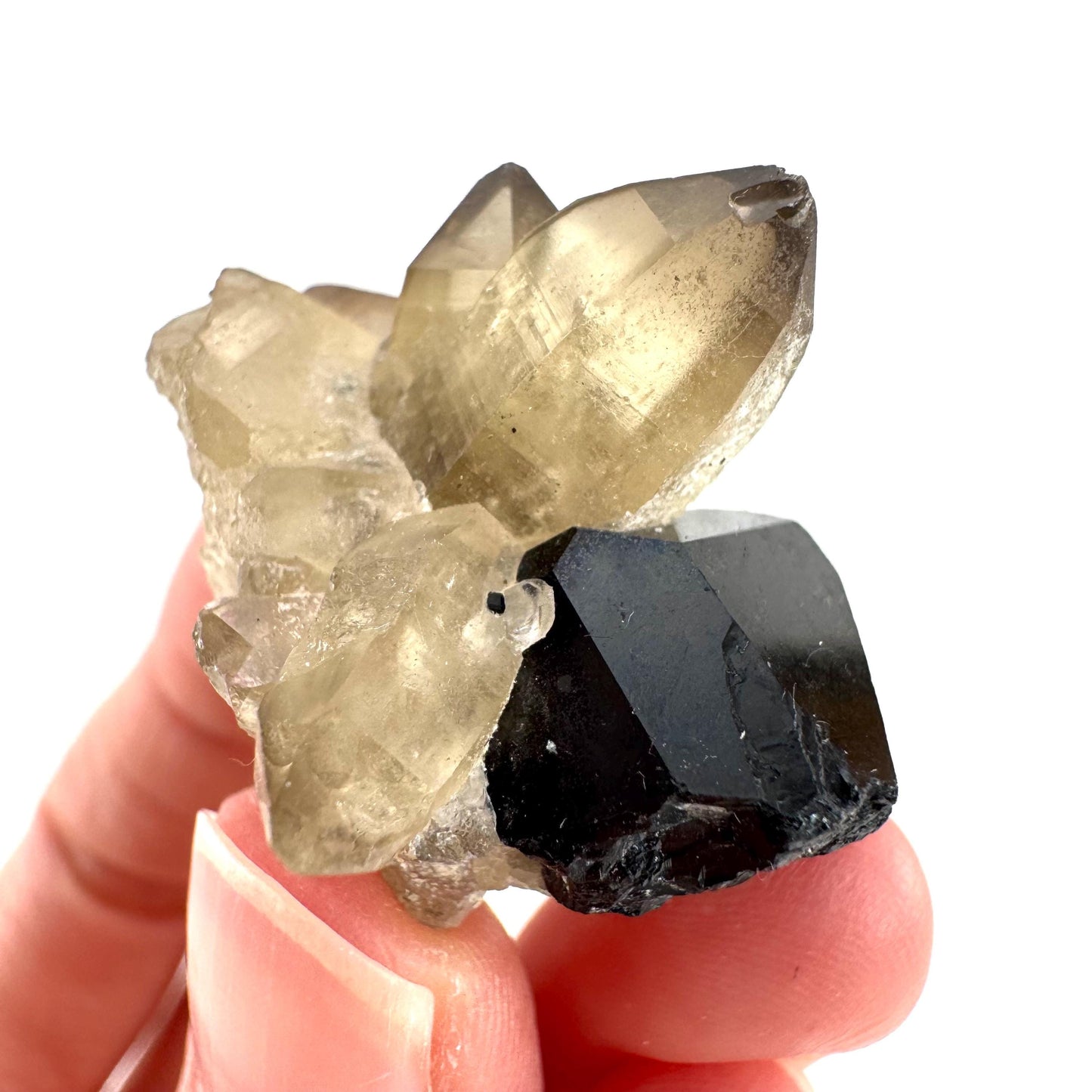 Black Tourmaline on Smoky Quartz | schorl crystal cluster, mineral specimen from Namibia