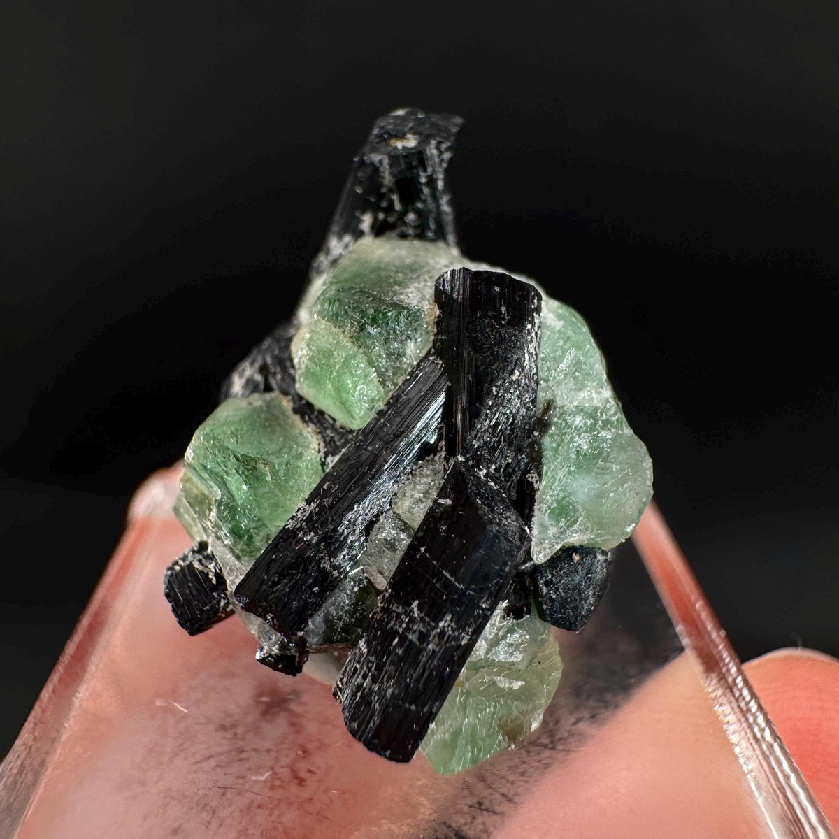 Fluorite w/ Black Tourmaline | Lollipop Pocket, green crystal, mineral specimen from Namibia