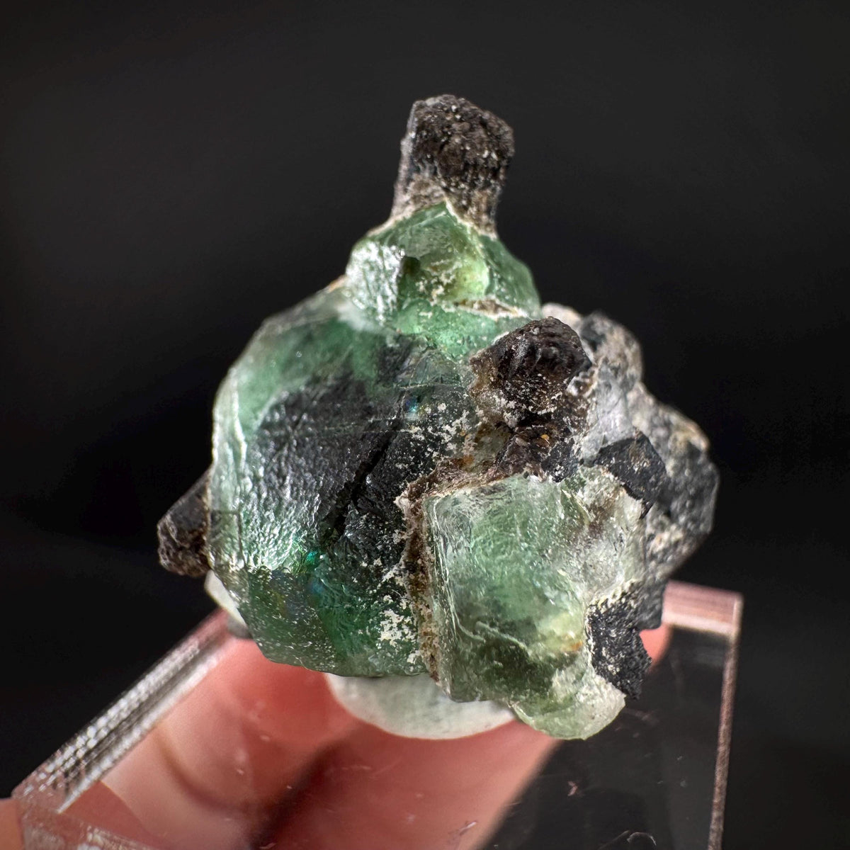 Fluorite w/ Black Tourmaline | Lollipop Pocket, green crystal, mineral specimen from Namibia