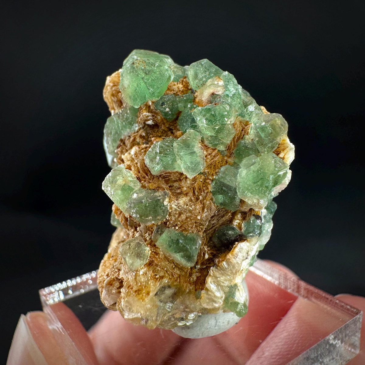 Fluorite w/ Schorl, & Muscovite | Lollipop Pocket, green crystal, mineral specimen from Namibia