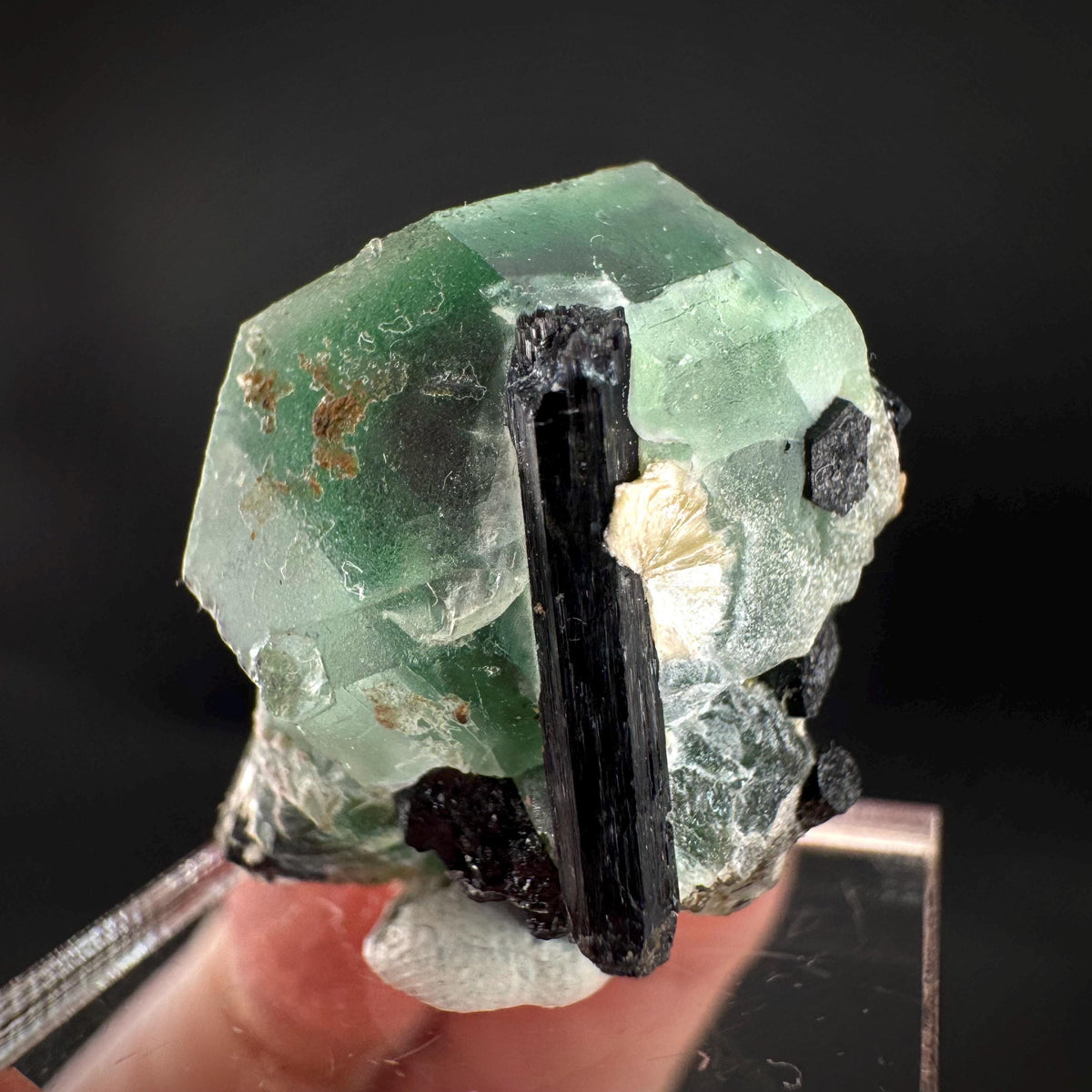 Fluorite w/ Schorl, & Muscovite | Lollipop Pocket, green crystal, mineral specimen from Namibia
