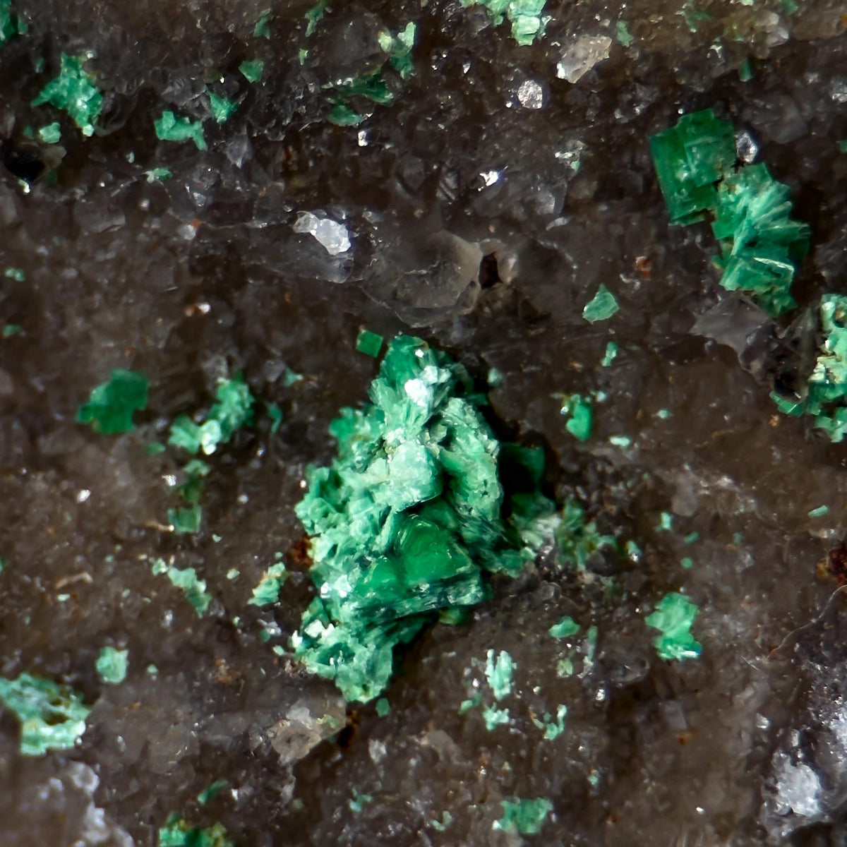 Torbernite | green crystals on matrix, rare mineral specimen from France