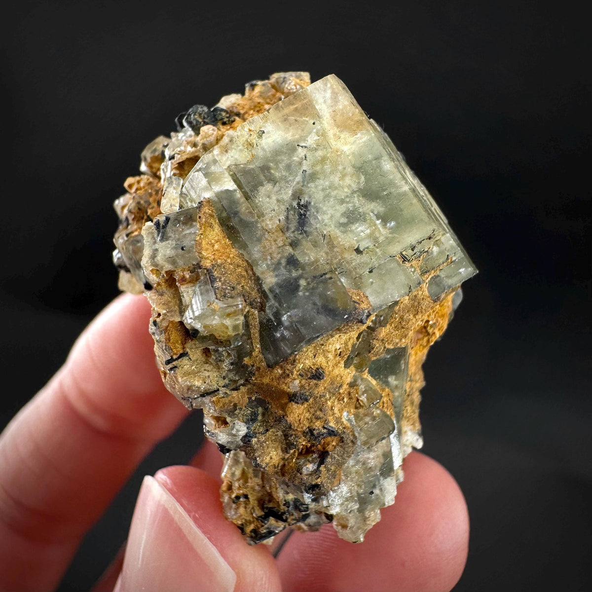 Beryl var. Goshenite with Black Tourmaline | natural crystal cluster, mineral specimen from Namibia