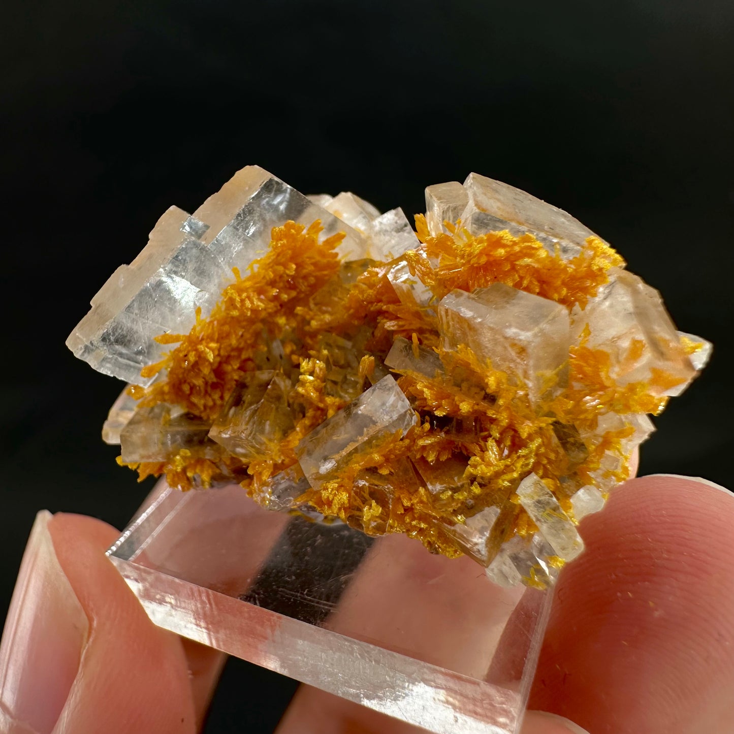 Orpiment on Barite (Peru), Orpiment specimen, mineral specimen