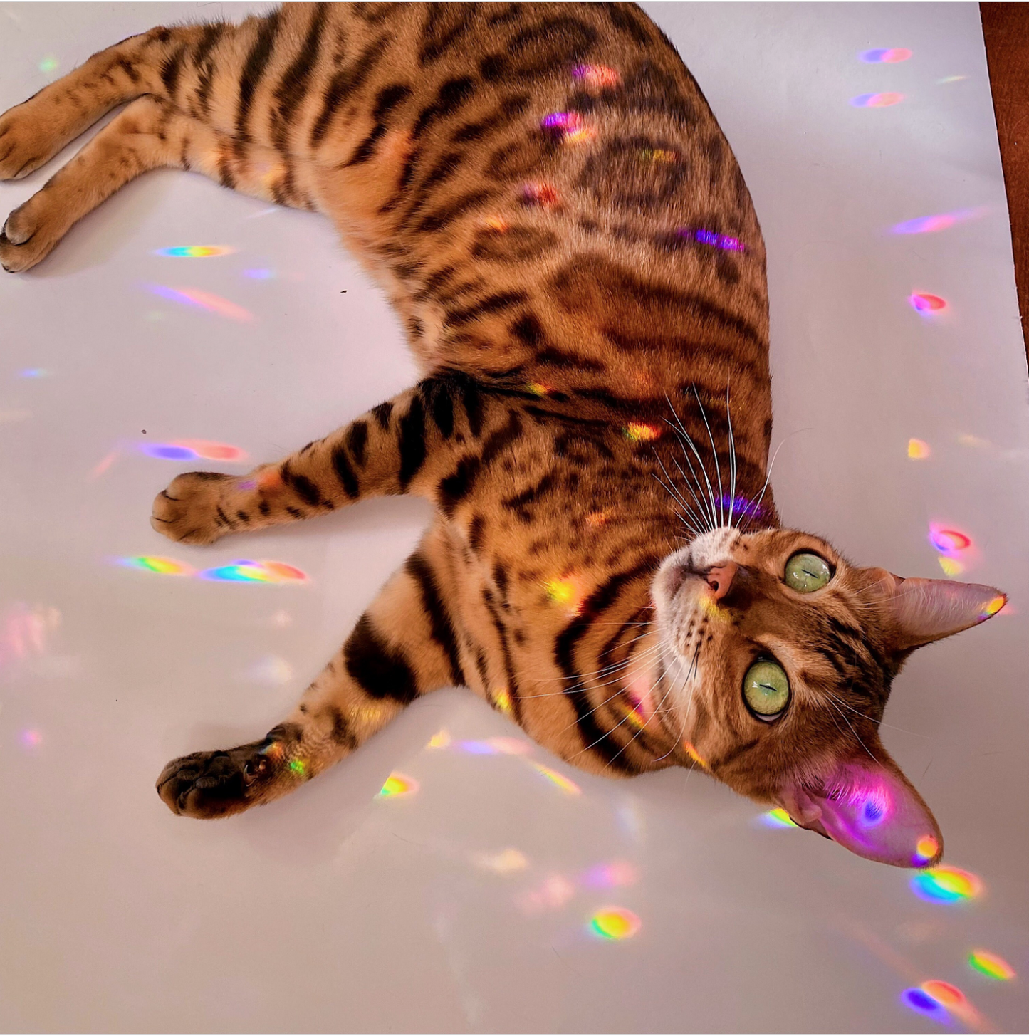 Crystal Suncatcher