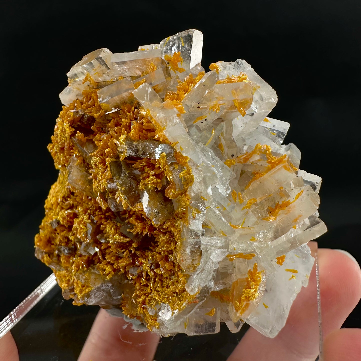 Orpiment on Barite w/ Realgar (Peru), Orpiment specimen, mineral specimen