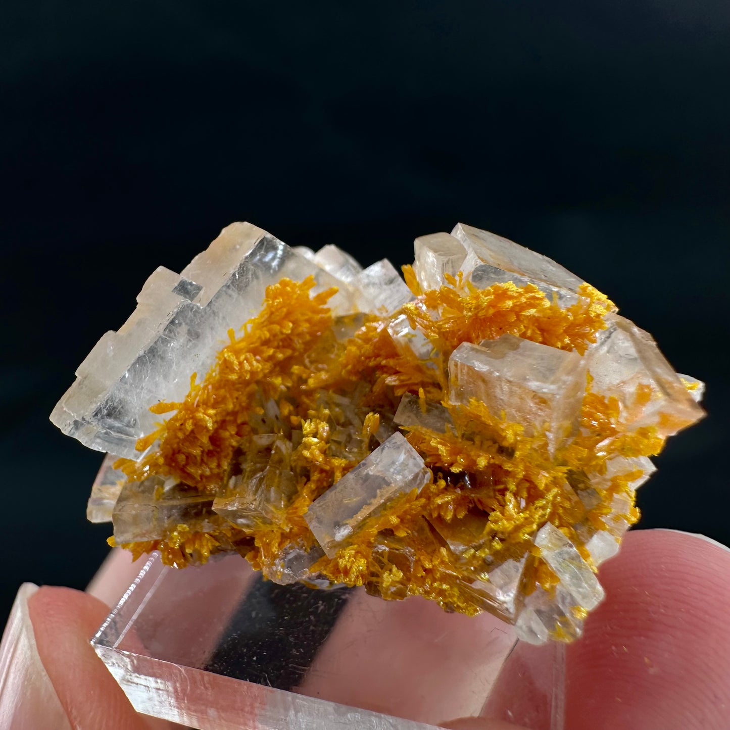 Orpiment on Barite (Peru), Orpiment specimen, mineral specimen