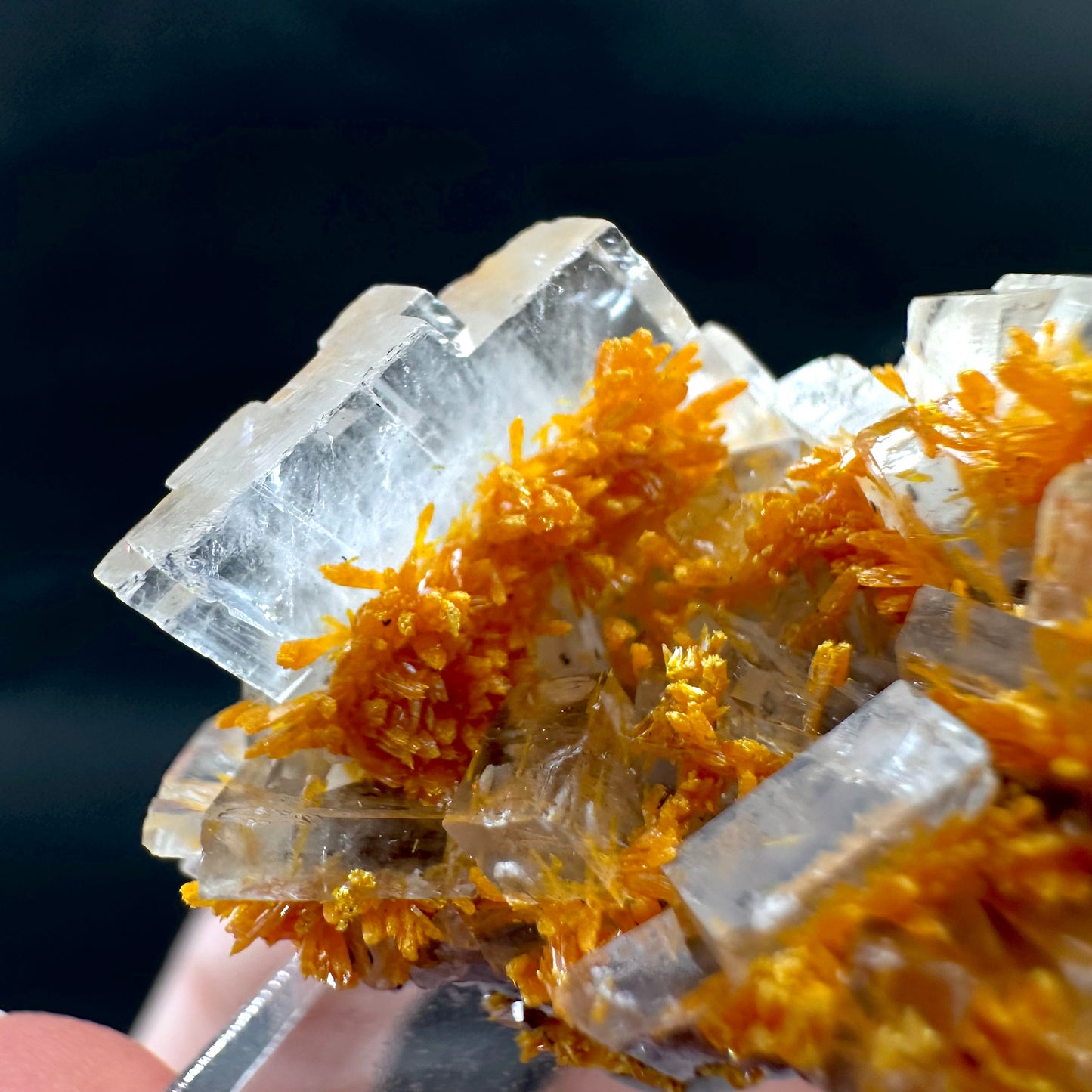 Orpiment on Barite (Peru), Orpiment specimen, mineral specimen