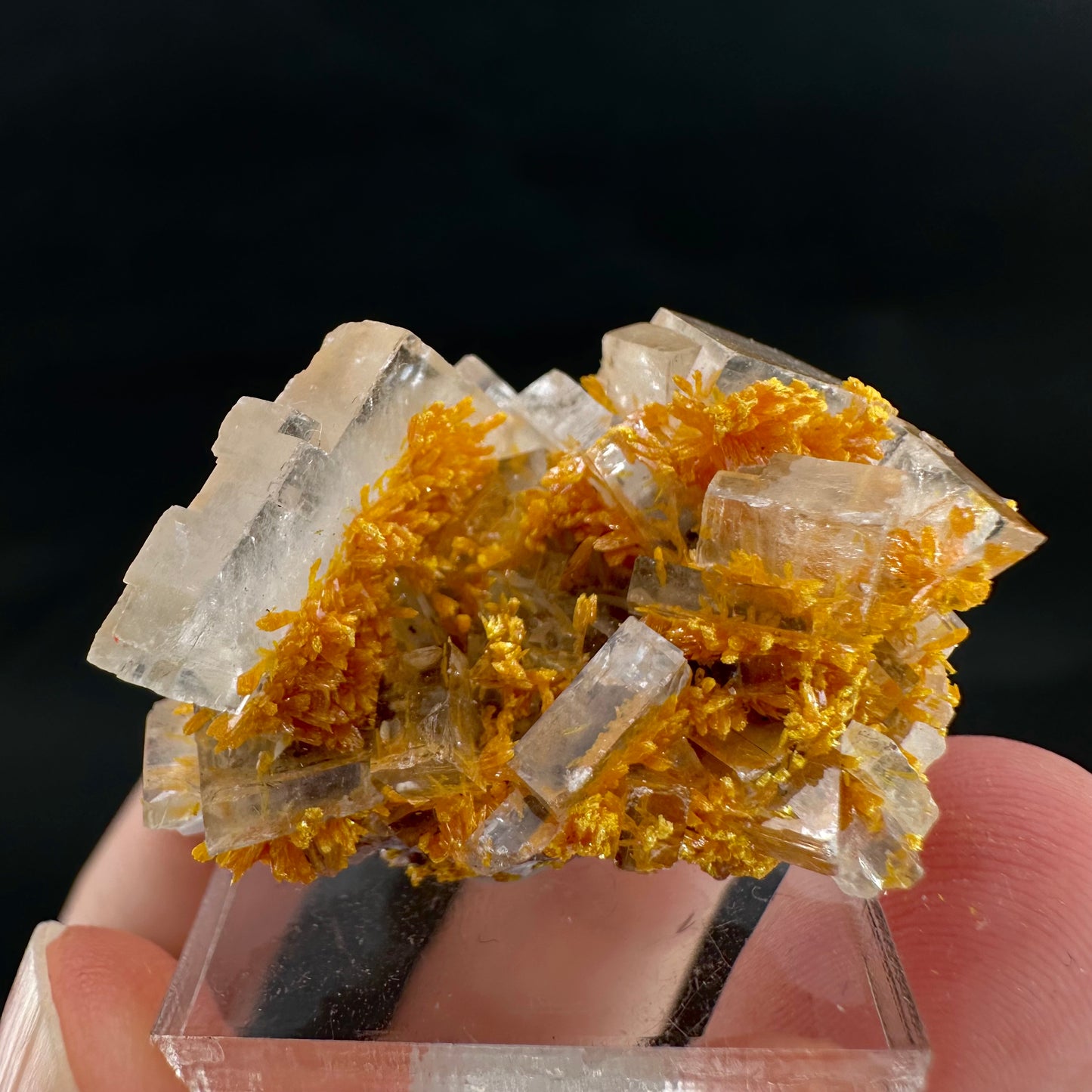 Orpiment on Barite (Peru), Orpiment specimen, mineral specimen