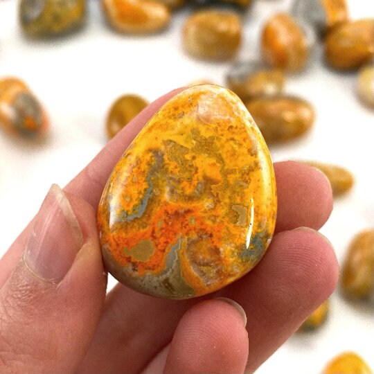 ONE Bumblebee Jasper Tumble (Indonesia) | tumbled bumblebee jasper