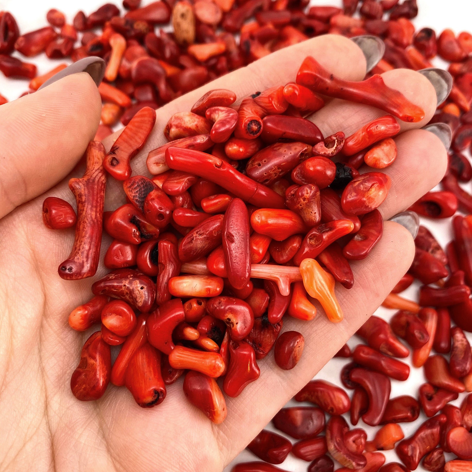 20g of Red Coral, mini tumbled stones, tumbled crystal, tumbled red coral, red coral chips