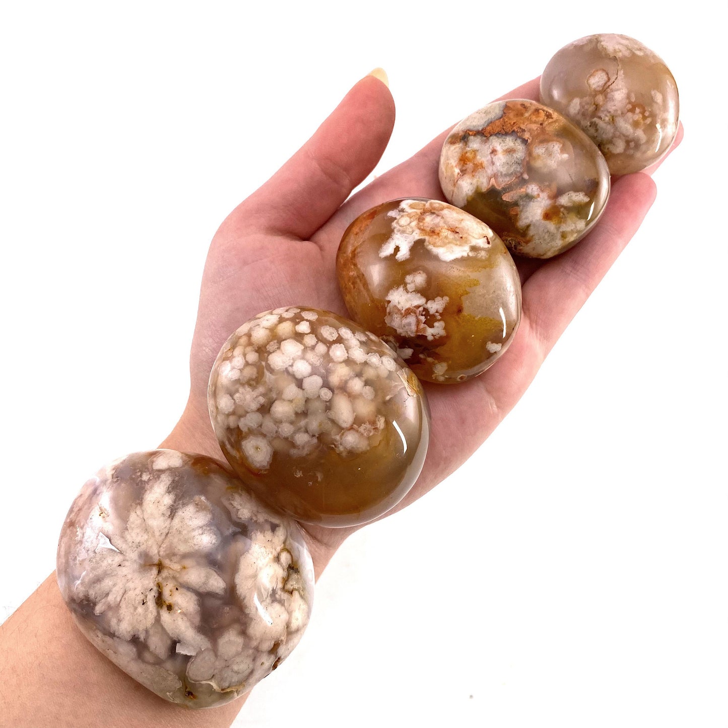 Flower Agate Palm Stone, flower agate palmstone, polished agate