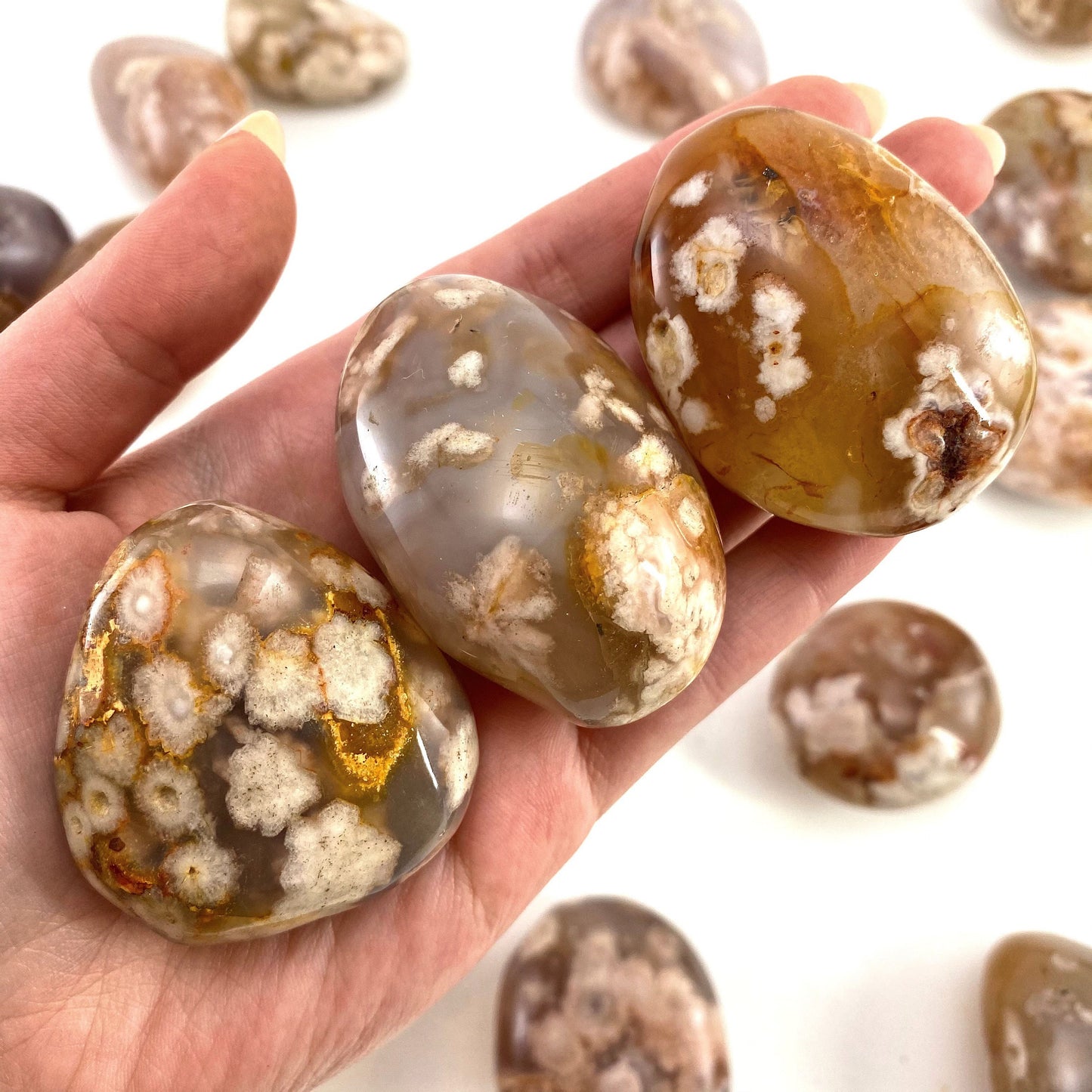 Flower Agate Palm Stone, flower agate palmstone, polished agate
