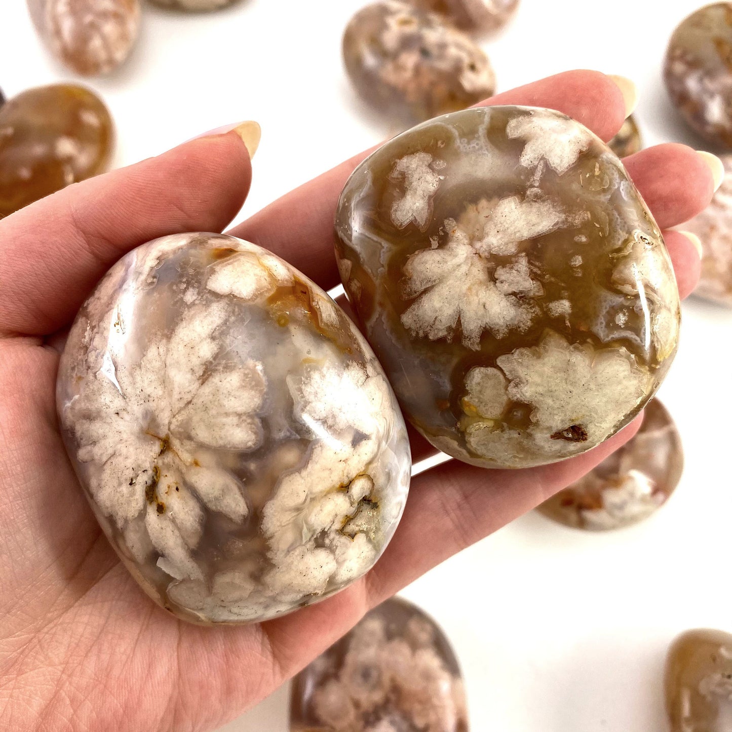 Flower Agate Palm Stone, flower agate palmstone, polished agate
