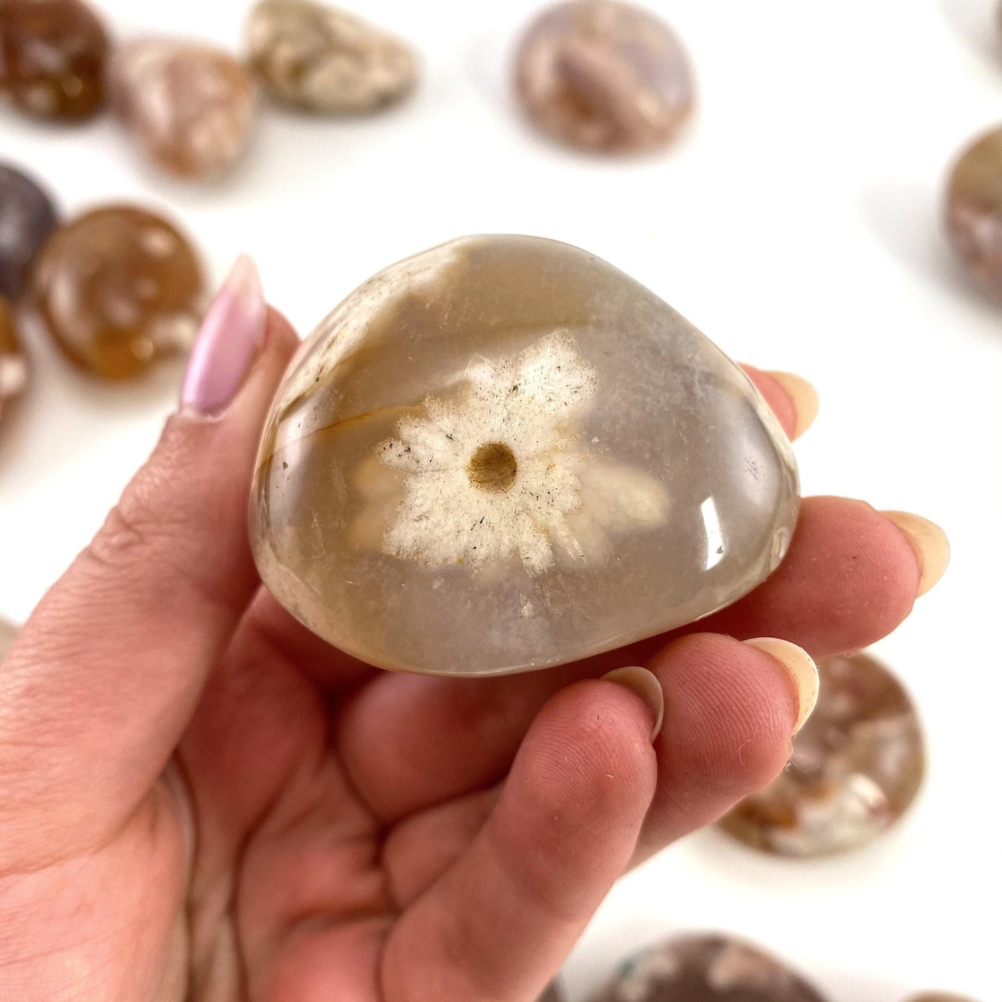 Flower Agate Palm Stone, flower agate palmstone, polished agate