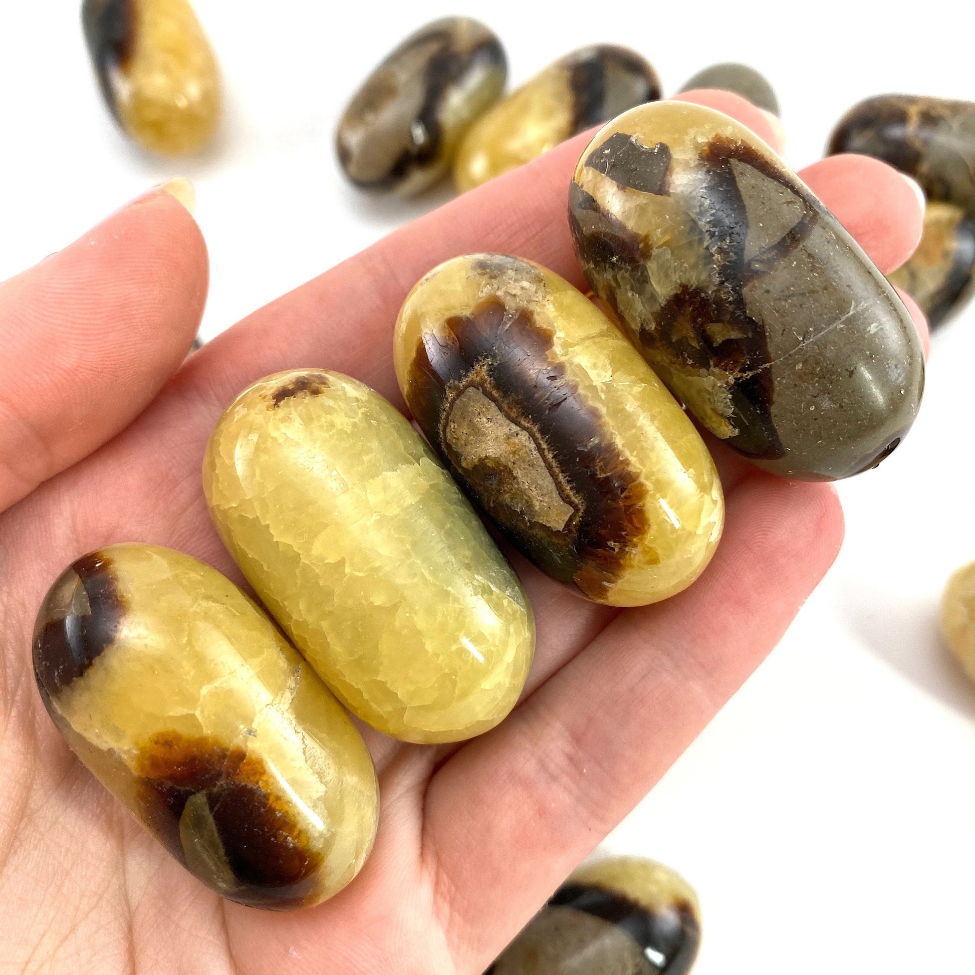 ONE Polished Septarian, septarian stone, tumbled septarian, yellow septarian tumble, septarian palm stone, dragon stone
