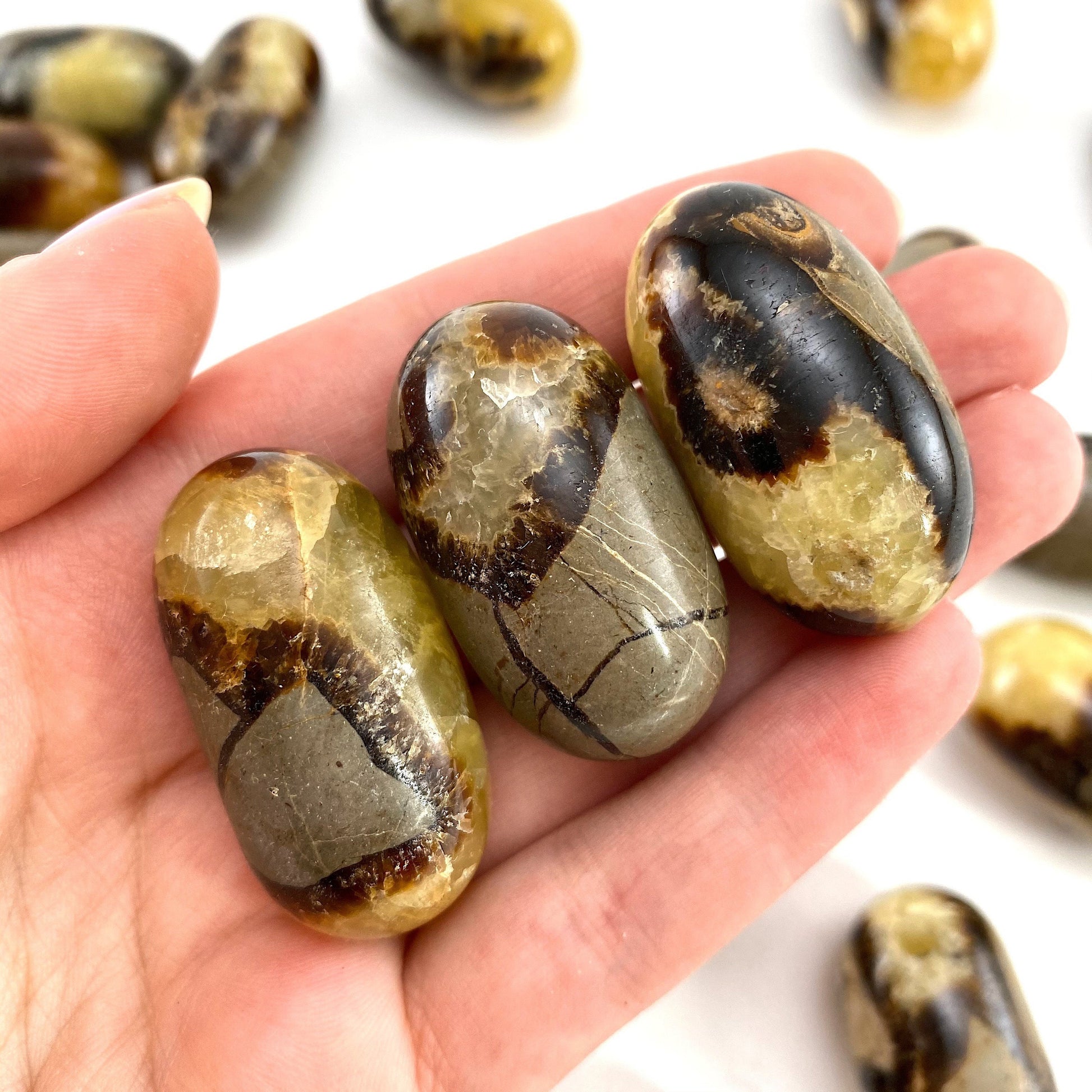 ONE Polished Septarian, septarian stone, tumbled septarian, yellow septarian tumble, septarian palm stone, dragon stone