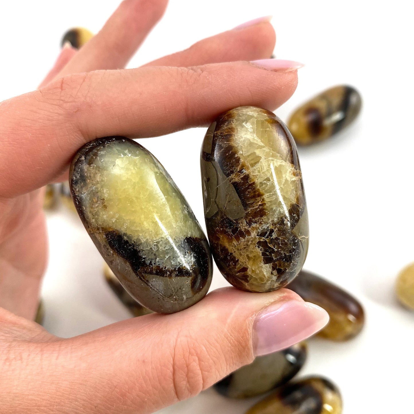 ONE Polished Septarian, septarian stone, tumbled septarian, yellow septarian tumble, septarian palm stone, dragon stone