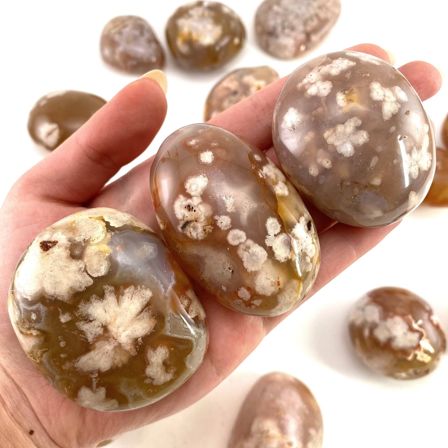 Flower Agate Palm Stone, flower agate palmstone, polished agate