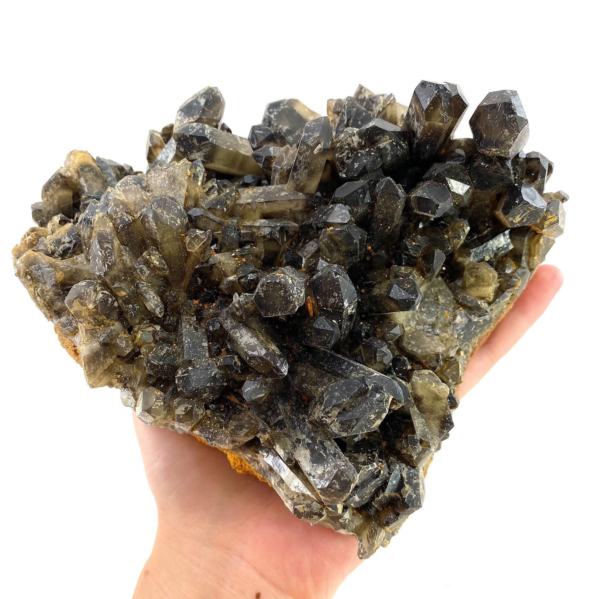 XL Smoky Quartz Cluster, irradiated smoky quartz crystal, raw smoky quartz, smoky quartz point