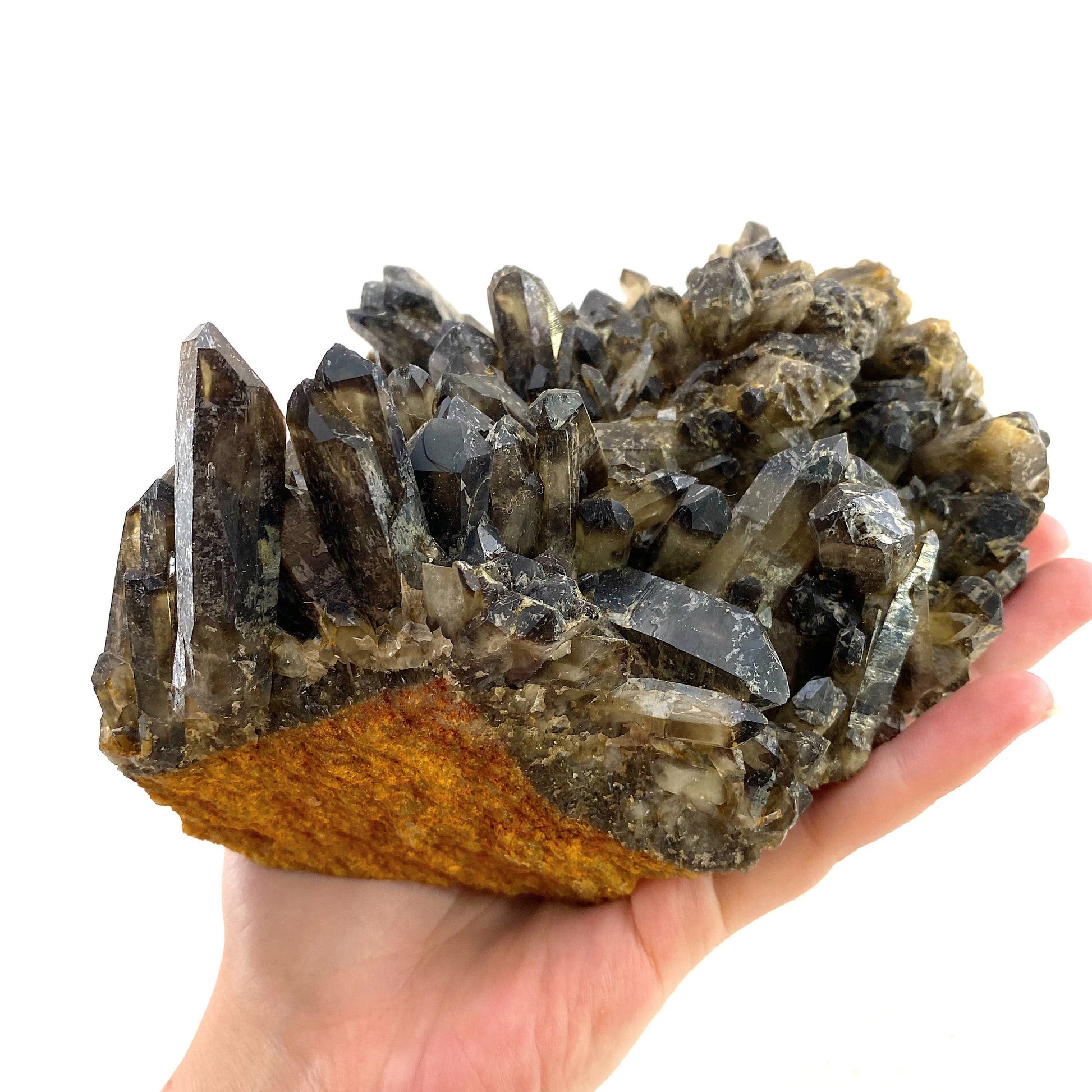 XL Smoky Quartz Cluster, irradiated smoky quartz crystal, raw smoky quartz, smoky quartz point