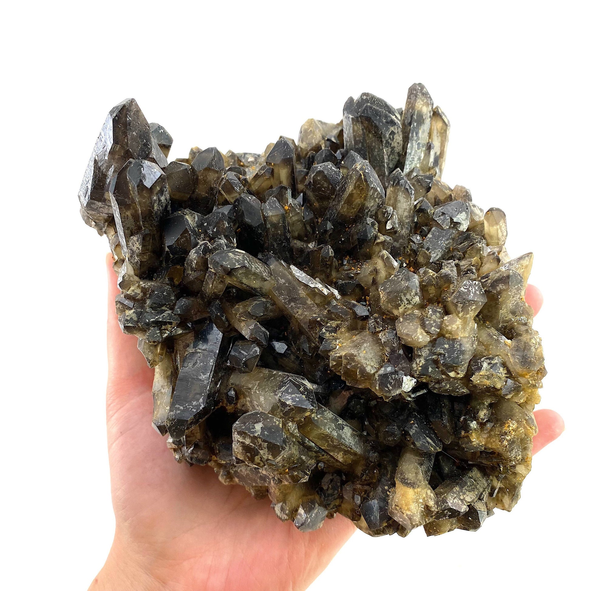 XL Smoky Quartz Cluster, irradiated smoky quartz crystal, raw smoky quartz, smoky quartz point