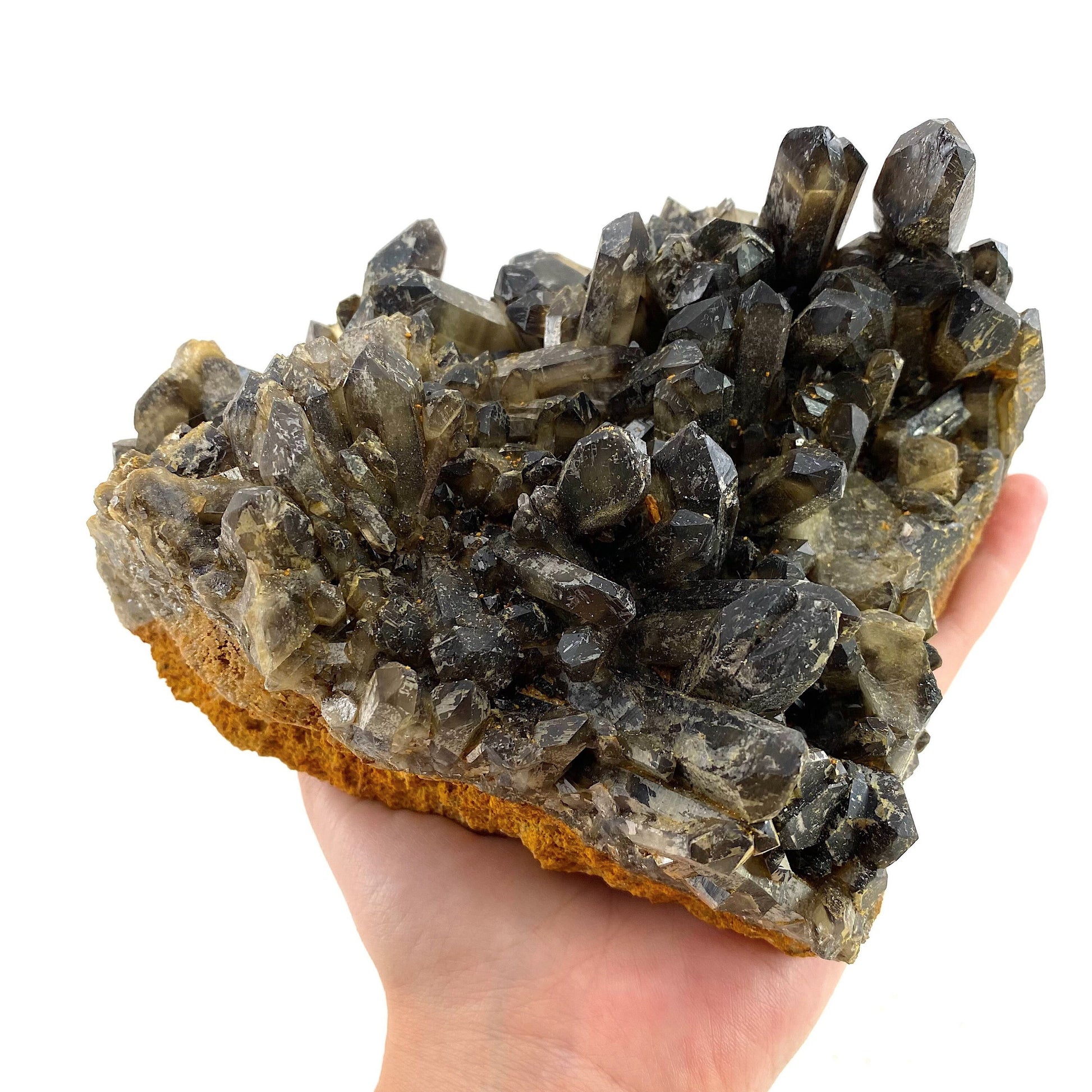 XL Smoky Quartz Cluster, irradiated smoky quartz crystal, raw smoky quartz, smoky quartz point