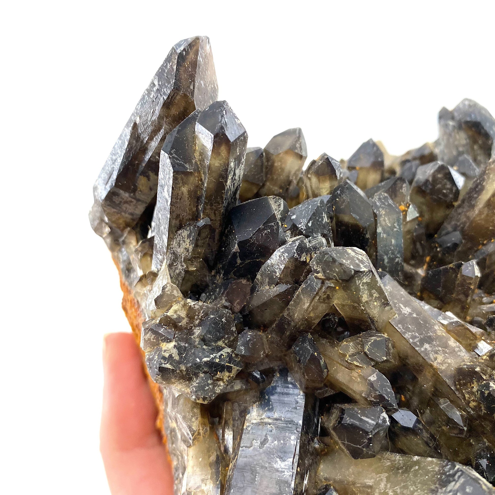 XL Smoky Quartz Cluster, irradiated smoky quartz crystal, raw smoky quartz, smoky quartz point