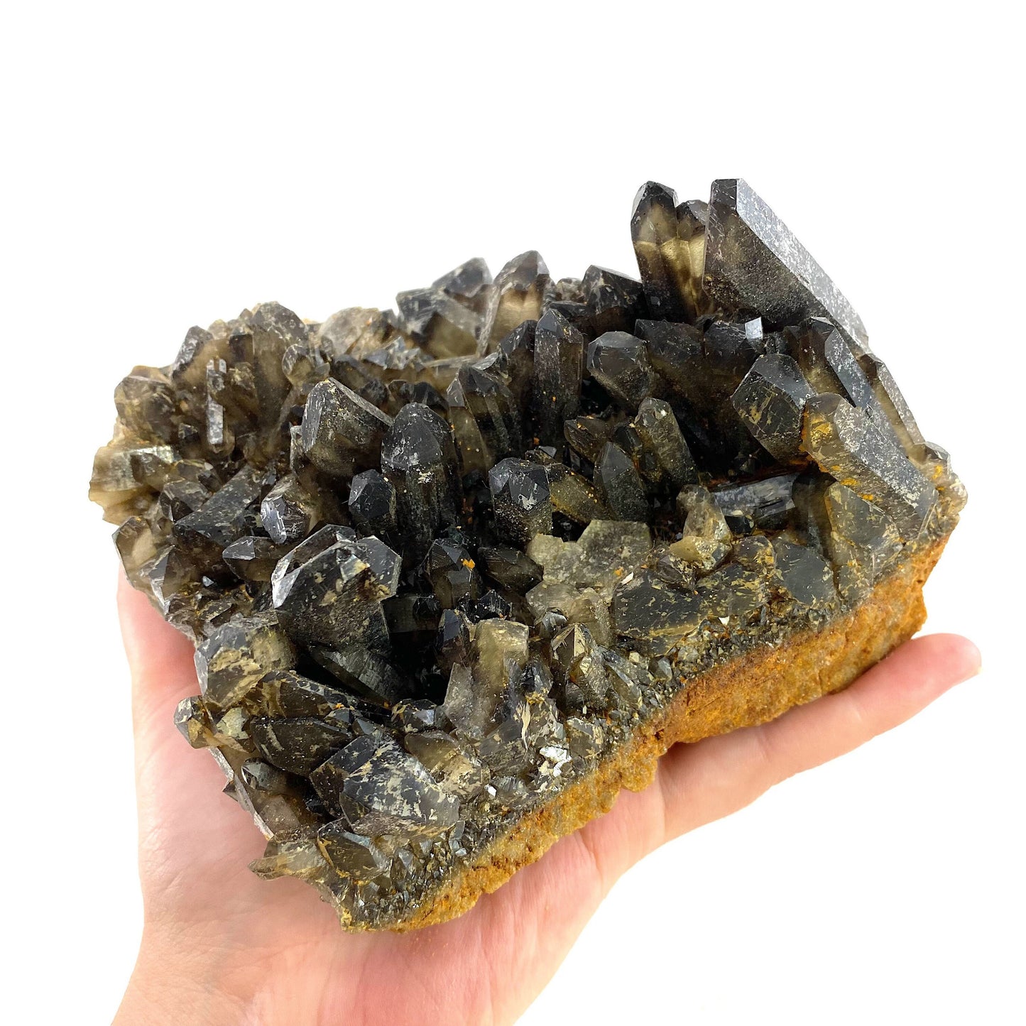 XL Smoky Quartz Cluster, irradiated smoky quartz crystal, raw smoky quartz, smoky quartz point