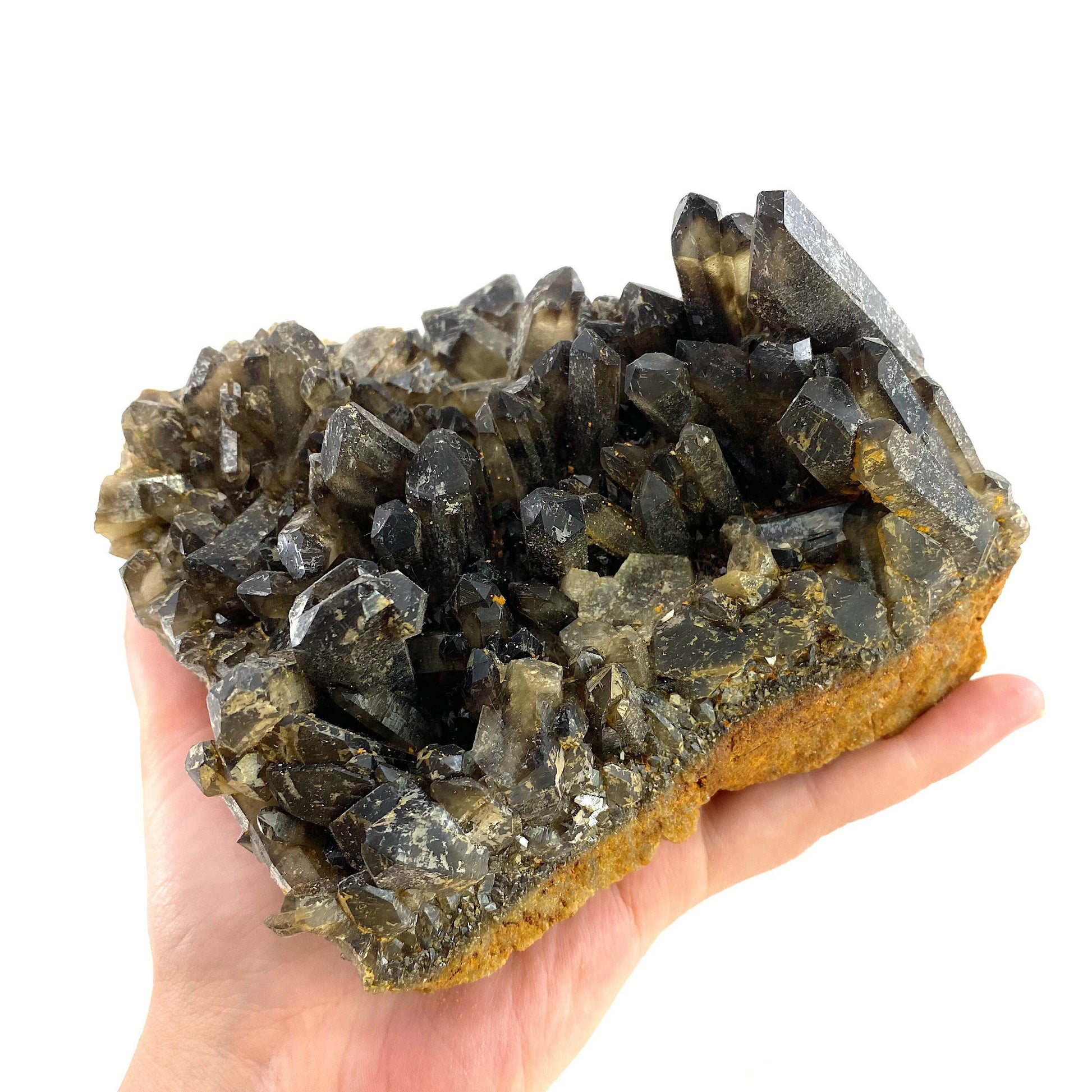 XL Smoky Quartz Cluster, irradiated smoky quartz crystal, raw smoky quartz, smoky quartz point
