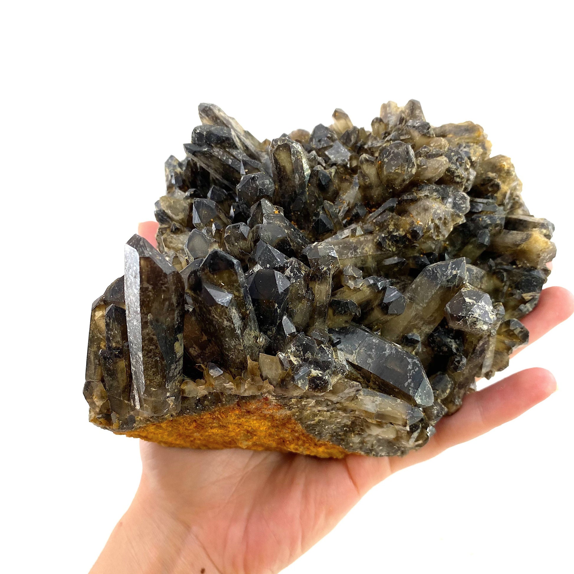 XL Smoky Quartz Cluster, irradiated smoky quartz crystal, raw smoky quartz, smoky quartz point