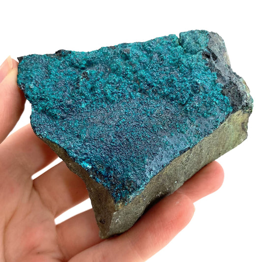 Chrysocolla Specimen (Congo), raw chrysocolla, botryoidal chrysocolla, chrysocolla crystal, rare crystals