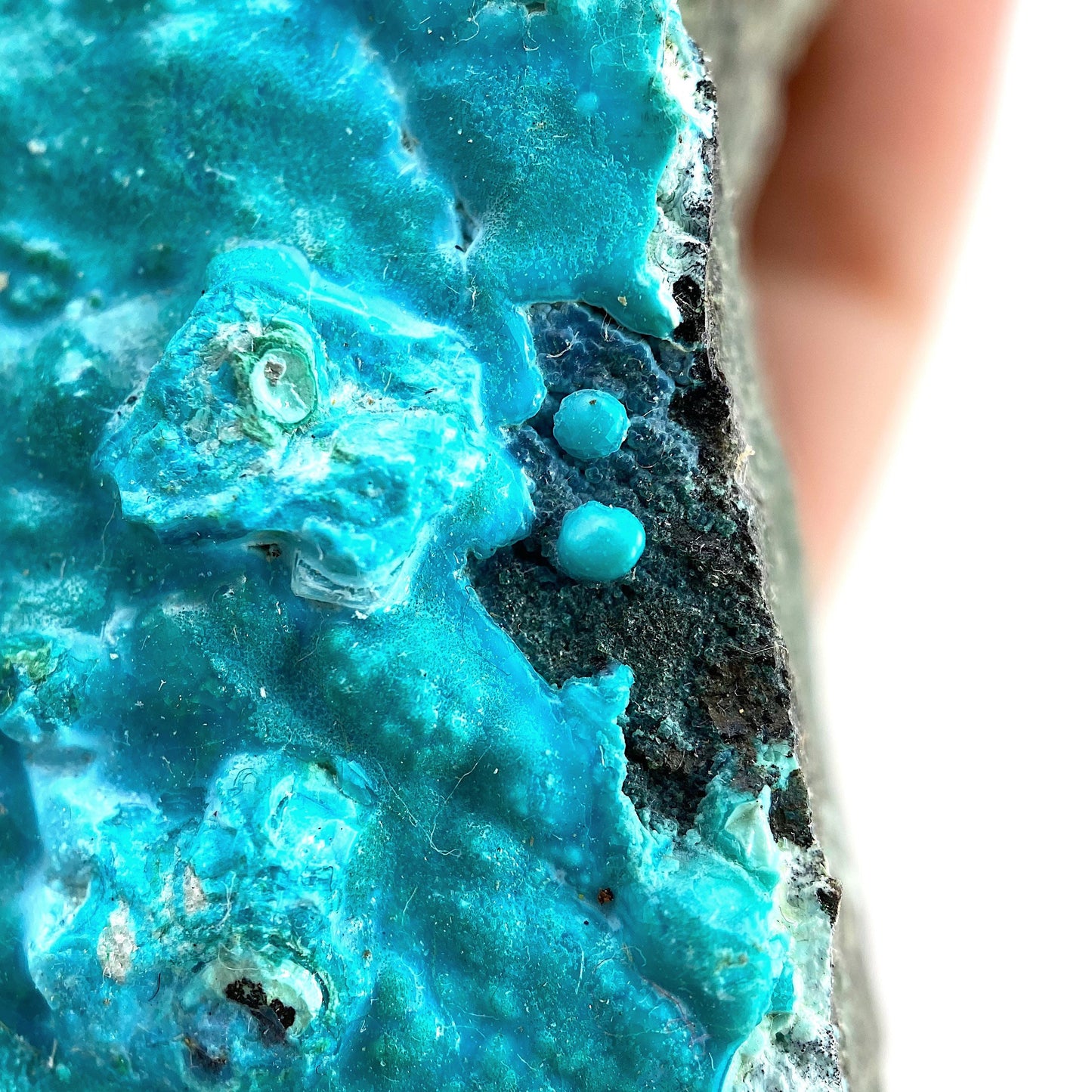 Chrysocolla Specimen (Congo), raw chrysocolla, botryoidal chrysocolla, chrysocolla crystal, rare crystals