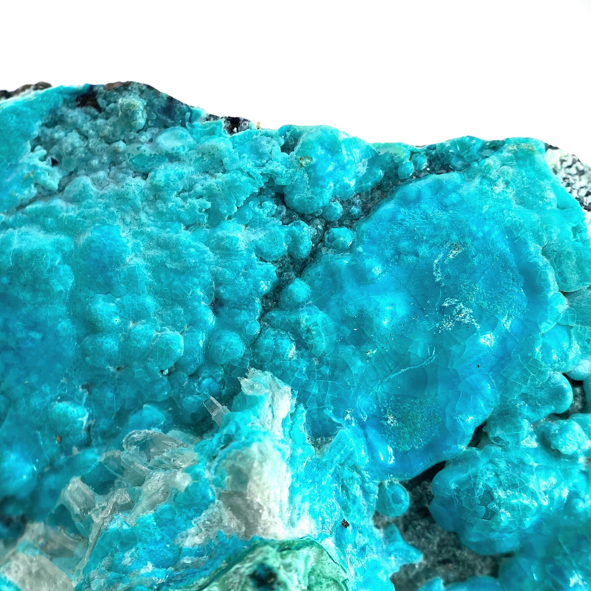 Chrysocolla Specimen (Congo), raw chrysocolla, botryoidal chrysocolla, chrysocolla crystal, rare crystals