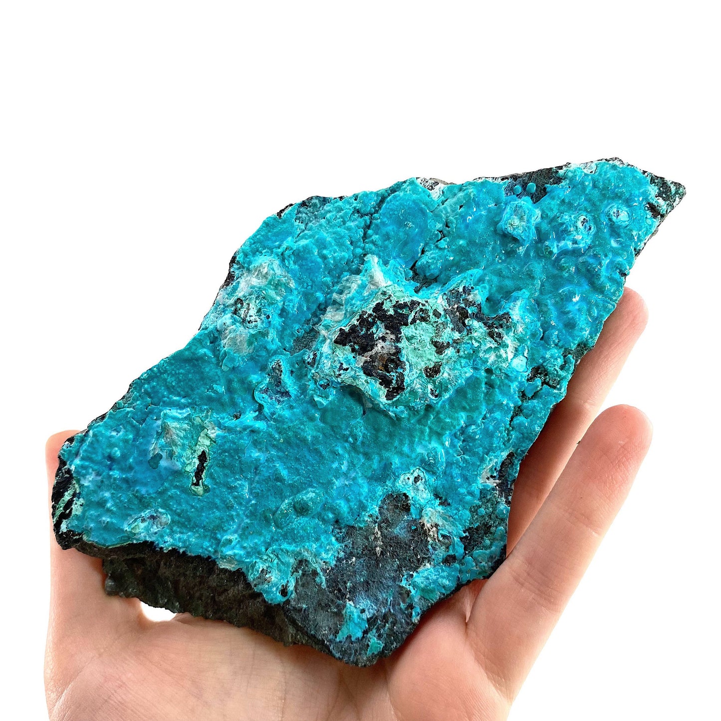 Chrysocolla Specimen (Congo), raw chrysocolla, botryoidal chrysocolla, chrysocolla crystal, rare crystals