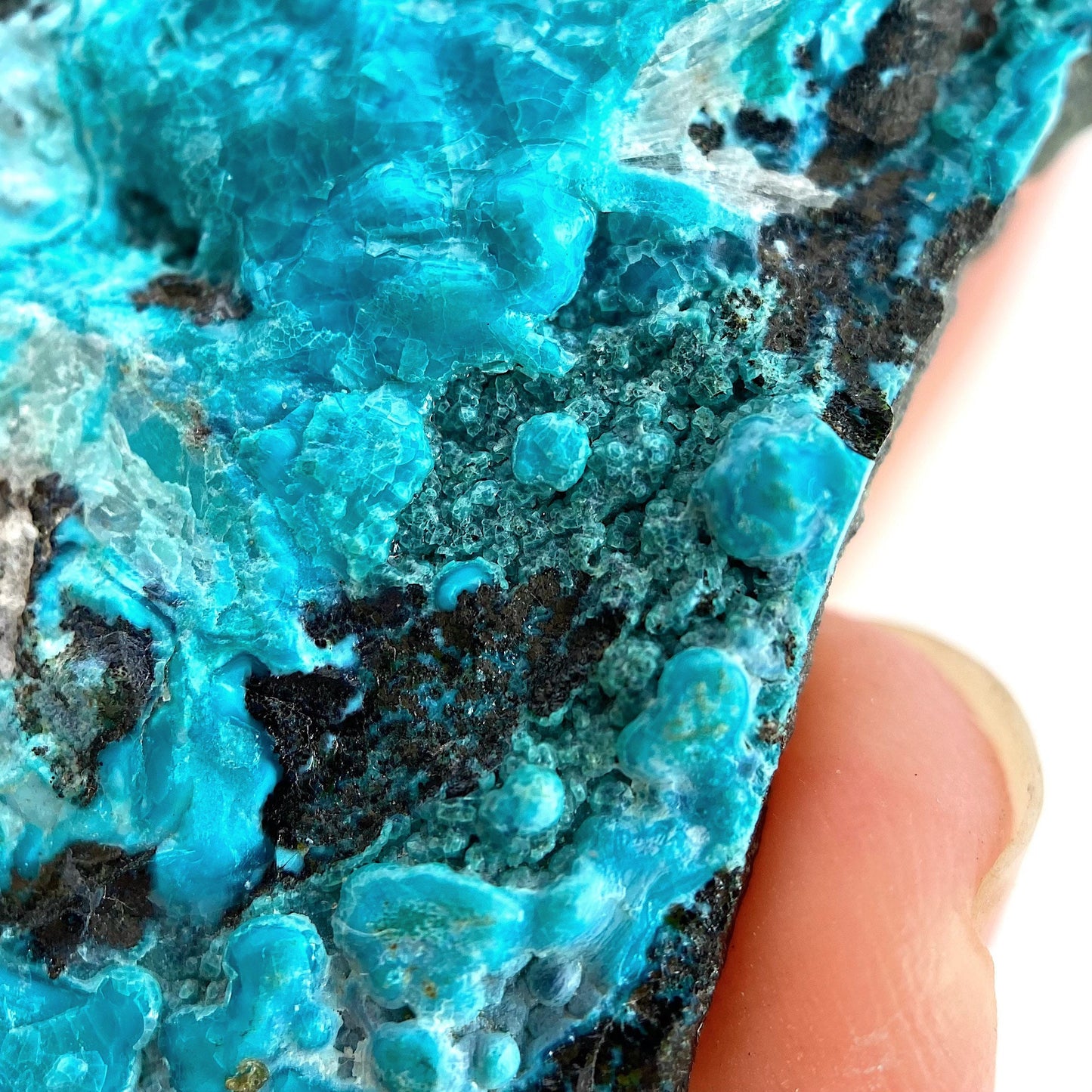Chrysocolla Specimen (Congo), raw chrysocolla, botryoidal chrysocolla, chrysocolla crystal, rare crystals