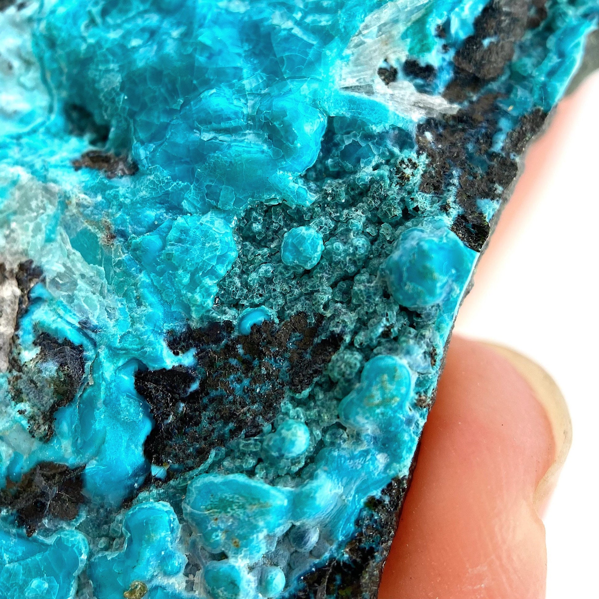 Chrysocolla Specimen (Congo), raw chrysocolla, botryoidal chrysocolla, chrysocolla crystal, rare crystals