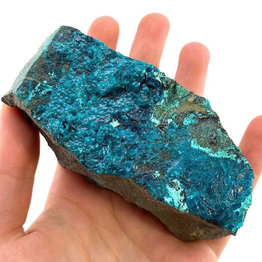 Chrysocolla Specimen (Congo), raw chrysocolla, botryoidal chrysocolla, chrysocolla crystal, rare crystals