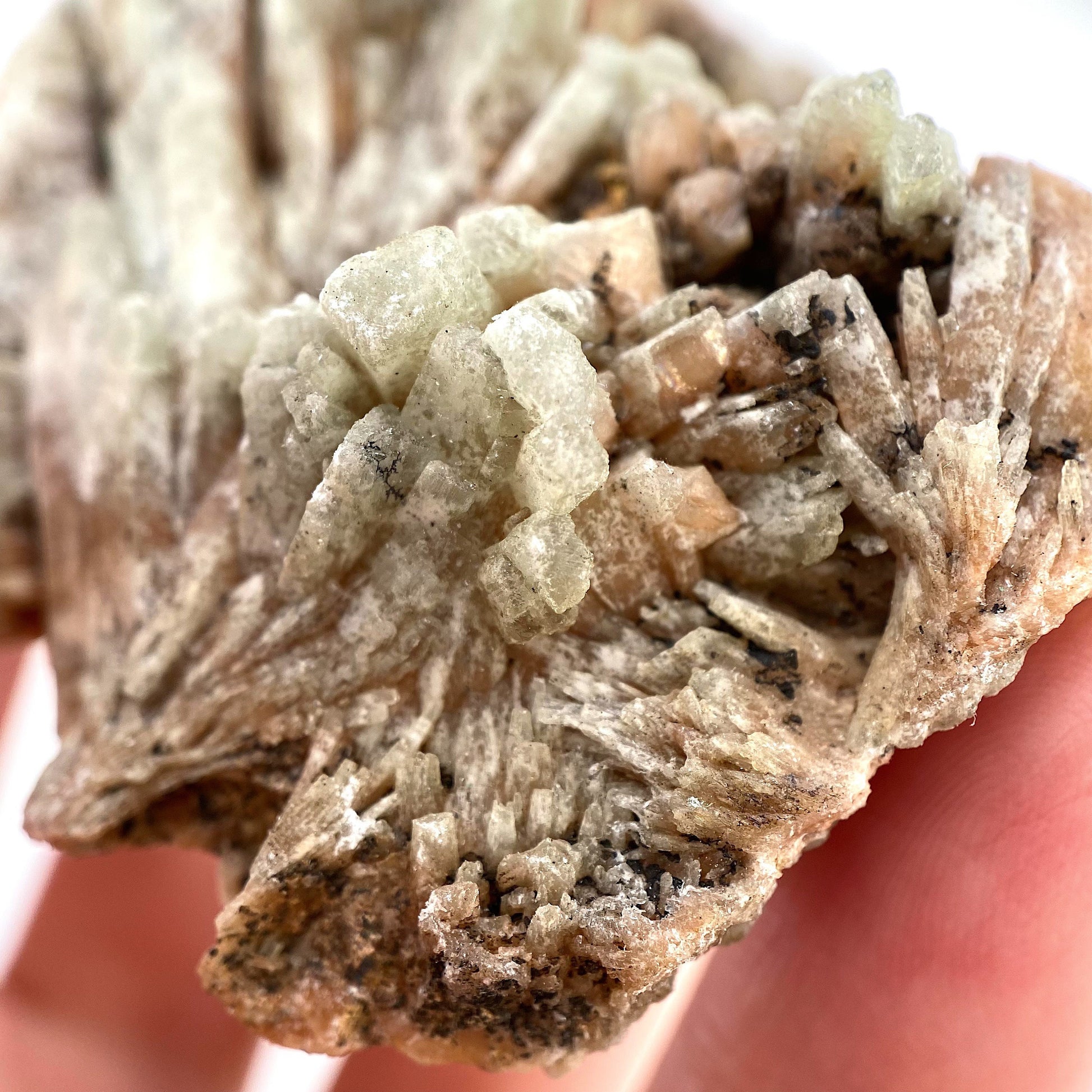 Rare! Baryte Specimen (Congo) | barite specimen, baryte crystal, barite crystal